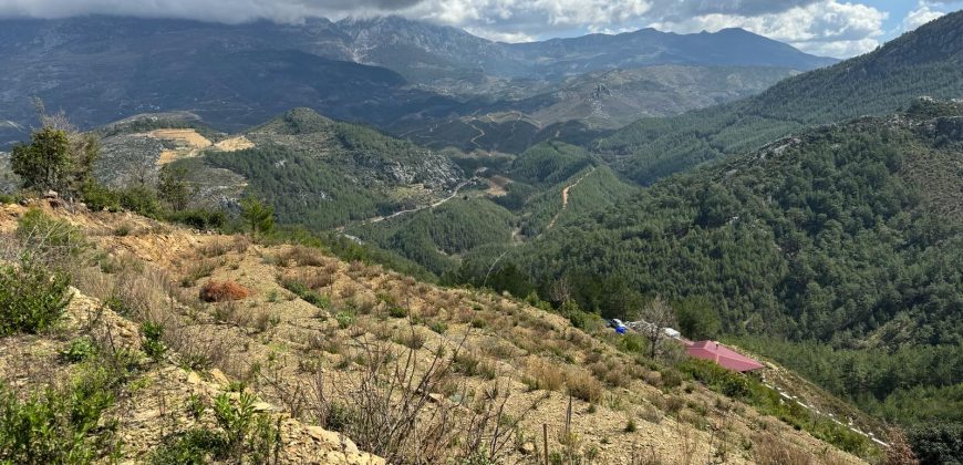 ALANYA DEMİRTAŞ FAKIRCALAR DA SATILIK 3.167 M2 TARLA