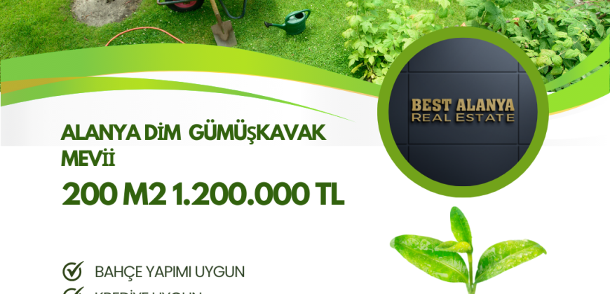 ALANYA KESTEL DİM GÜMÜŞKAVAK MEVKİİNDE SATILIK 200 M2 BAHÇE YAPIMINA UYGUN YOL VE SU SORUNU YOK