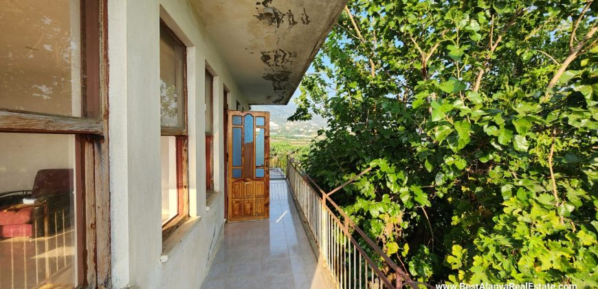 TAŞLICA KESTEL ALANYA KİRALIK 1+1 BOŞ DAİRE AYLIK 8.000 TL UZUN DÖNEM KİRALIK ŞEHİR MANZARALI