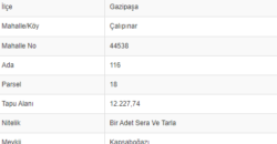 ÇALIPINAR GAZİPAŞA MUZ TARLASI 12.228M2 DOĞA MANZARALI YOL CEPHELİ 24.000.000TL