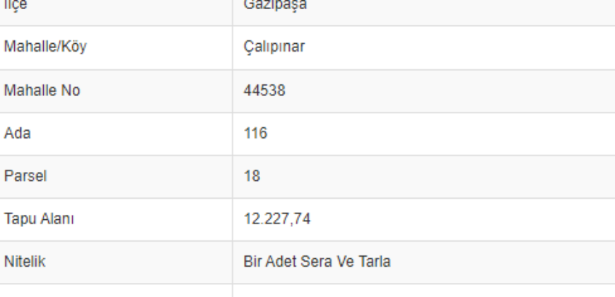 ÇALIPINAR GAZİPAŞA MUZ TARLASI 12.228M2 DOĞA MANZARALI YOL CEPHELİ 24.000.000TL