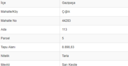 ÇIĞLIK GAZİPAŞA DOĞA VE IRMAK MANZARALI 2 AYRI MÜSTAKİL TAPULU TOPLAM 12.380M2 3.000.000TL