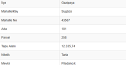 SU GÖZÜ GAZİPAŞA 12.336M2 DOĞA MANZARA YOL CEPHE 2.000.000TL