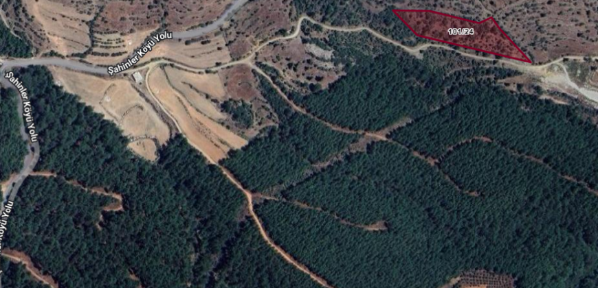 ŞAHİNLER GAZİPAŞA 6.675M2 DOĞA MANZARALI YOL CEPHELİ 4.000.000TL