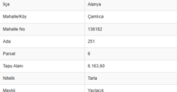 SU GÖZÜ GAZİPAŞA 12.336M2 DOĞA MANZARA YOL CEPHE 2.000.000TL