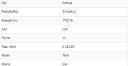 ORHANKÖY AVSALLAR 2389M2 DOĞA MANZARALI GÜNEY CEPHE 1.850.000TL