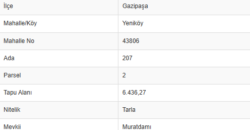 YENİKÖY GAZİPAŞA 6.436M2 DOĞA MANZARA 2.000.000TL