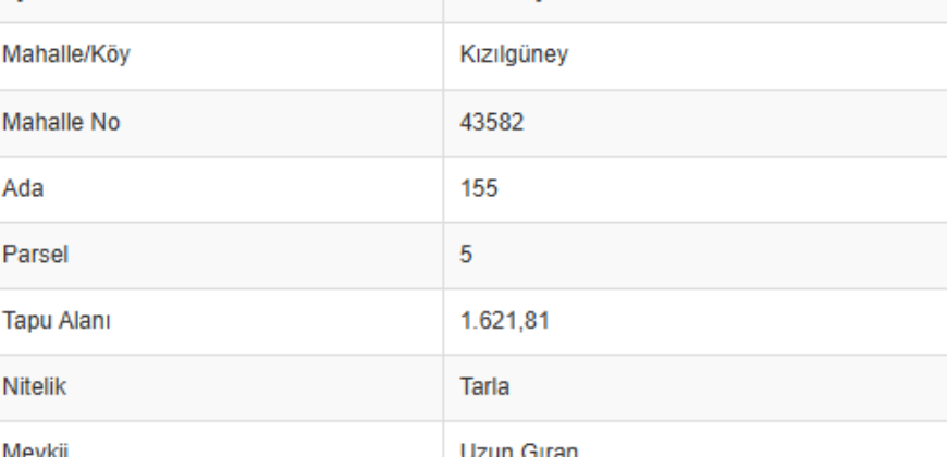 KIZILGÜNEY GAZİPAŞA  1.622 M2 TARLA SATILIK 1.200.000TL