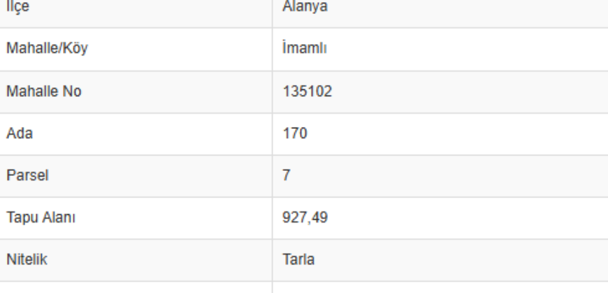 İMAMLI YAYLA GÖDERE MEVKİ ALANYA 927M2 YOL CEPHE 500.000TL