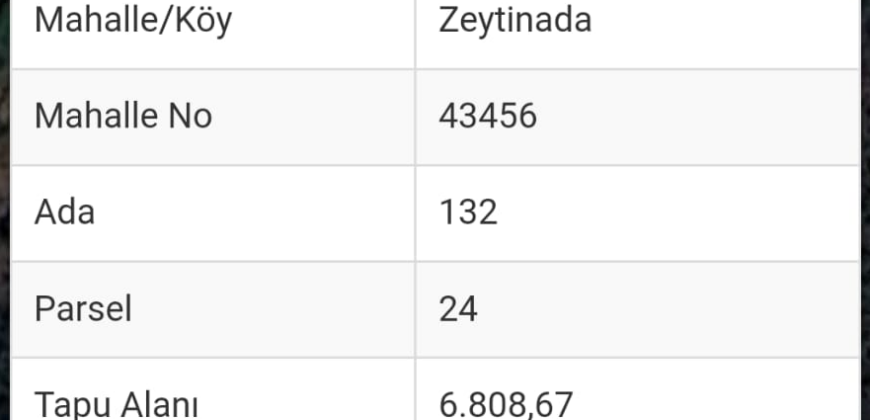 ZEYTİNADA GAZİPAŞA ALANYA 6.809M2 SATILIK TARLA 3.500.000TL