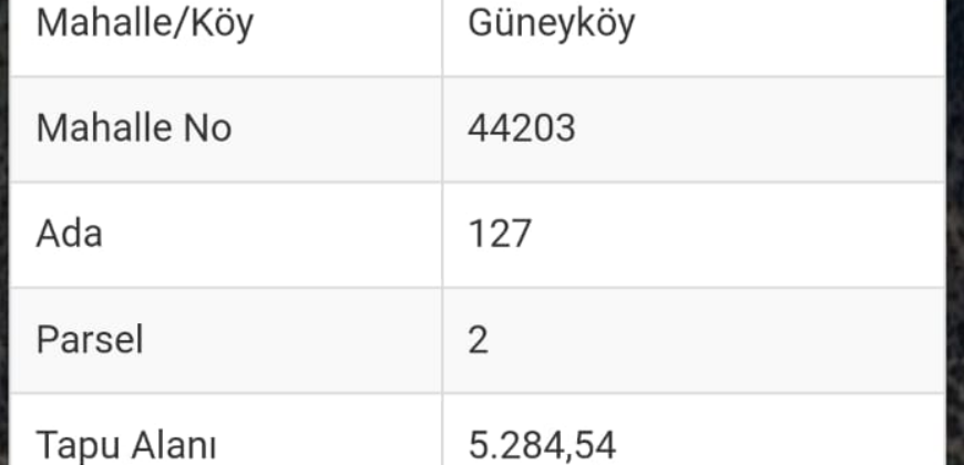 GÜNEY KÖY GAZİPAŞA 24.000M2 SATILIK TARLA 36.000.000TL