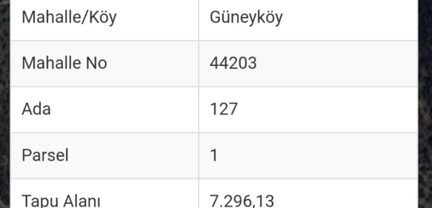 GÜNEY KÖY GAZİPAŞA 24.000M2 SATILIK TARLA 36.000.000TL