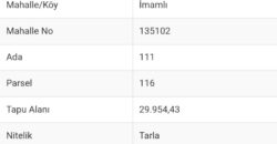 İMAMLI YEŞİLÖZ ALANYA 29.954M2 TARLA SATILIK  27.000.000TL